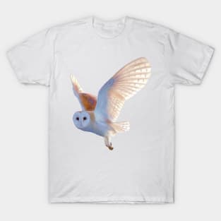 Flying Barn Owl illustration. Beautiful Barn Owl realistically rendered. Bird art. T-Shirt